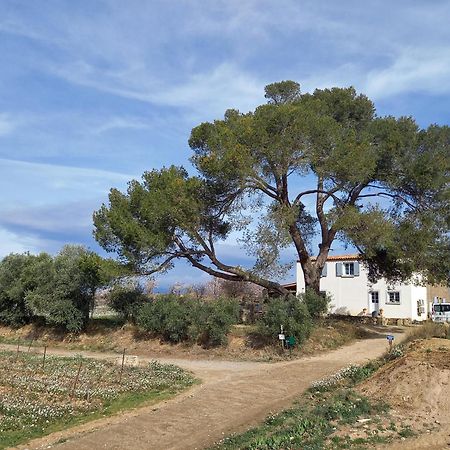 Willa Domaine Saint Augustin Rieux-Minervois Zewnętrze zdjęcie