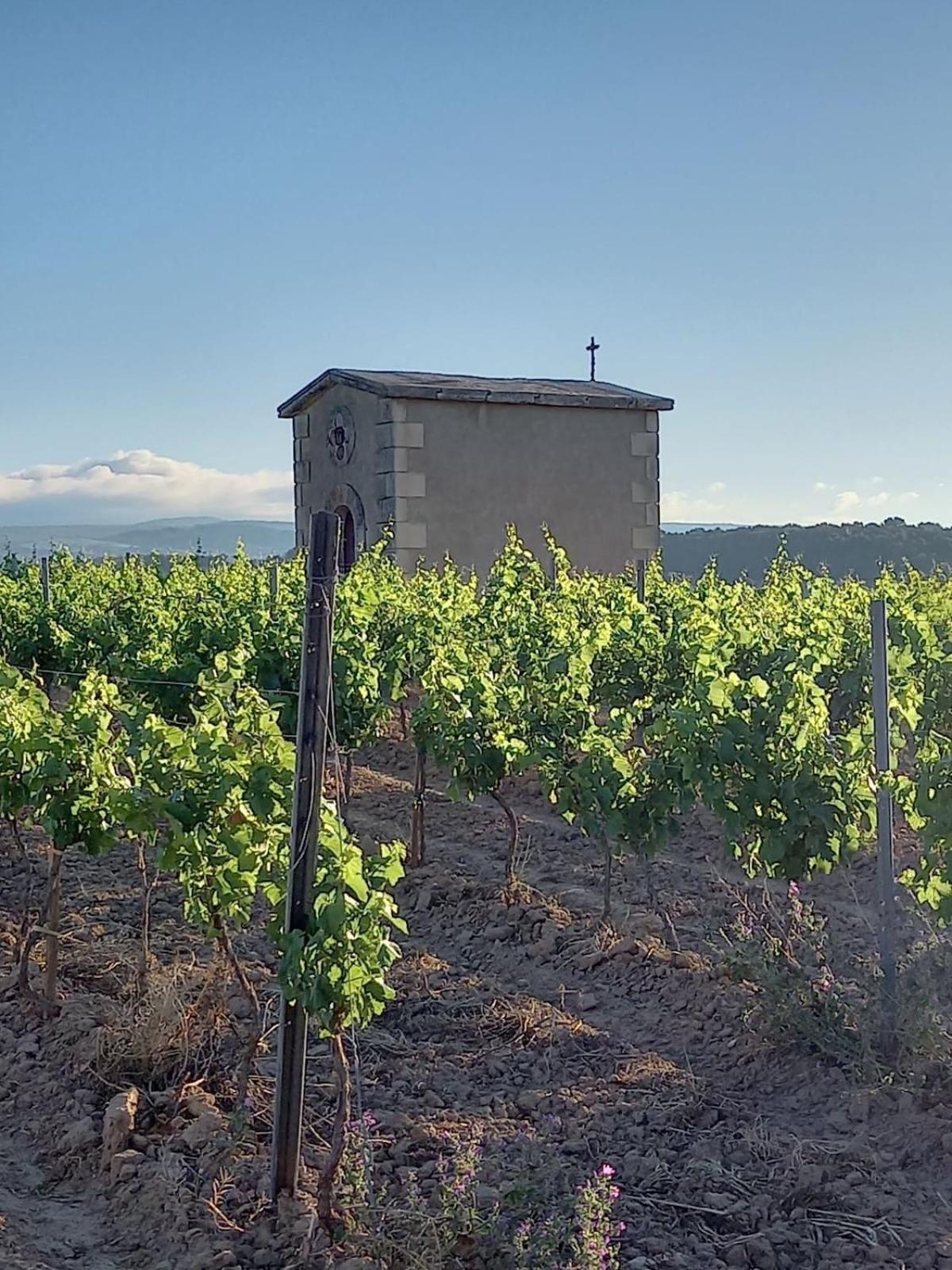 Willa Domaine Saint Augustin Rieux-Minervois Zewnętrze zdjęcie