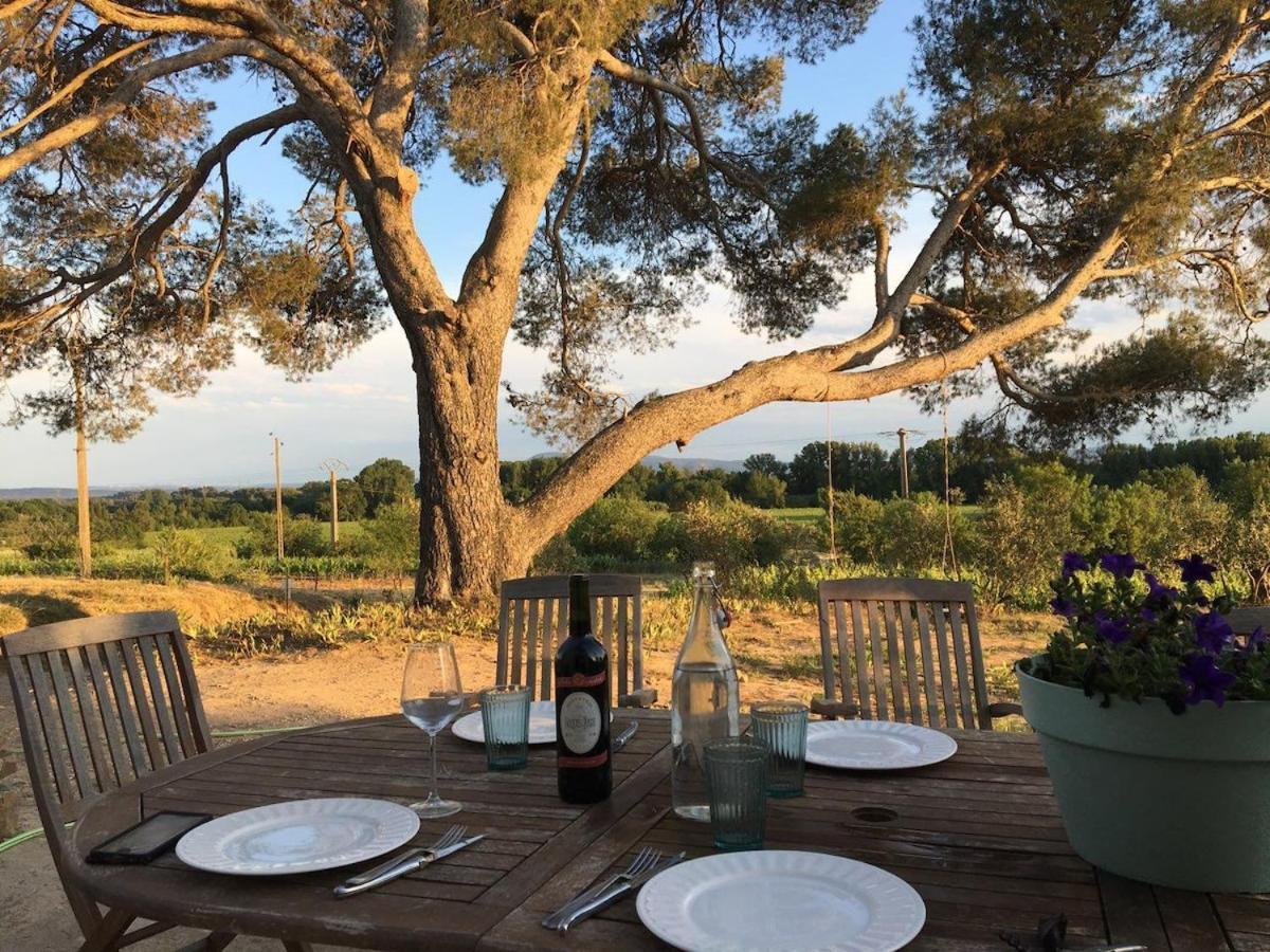 Willa Domaine Saint Augustin Rieux-Minervois Zewnętrze zdjęcie