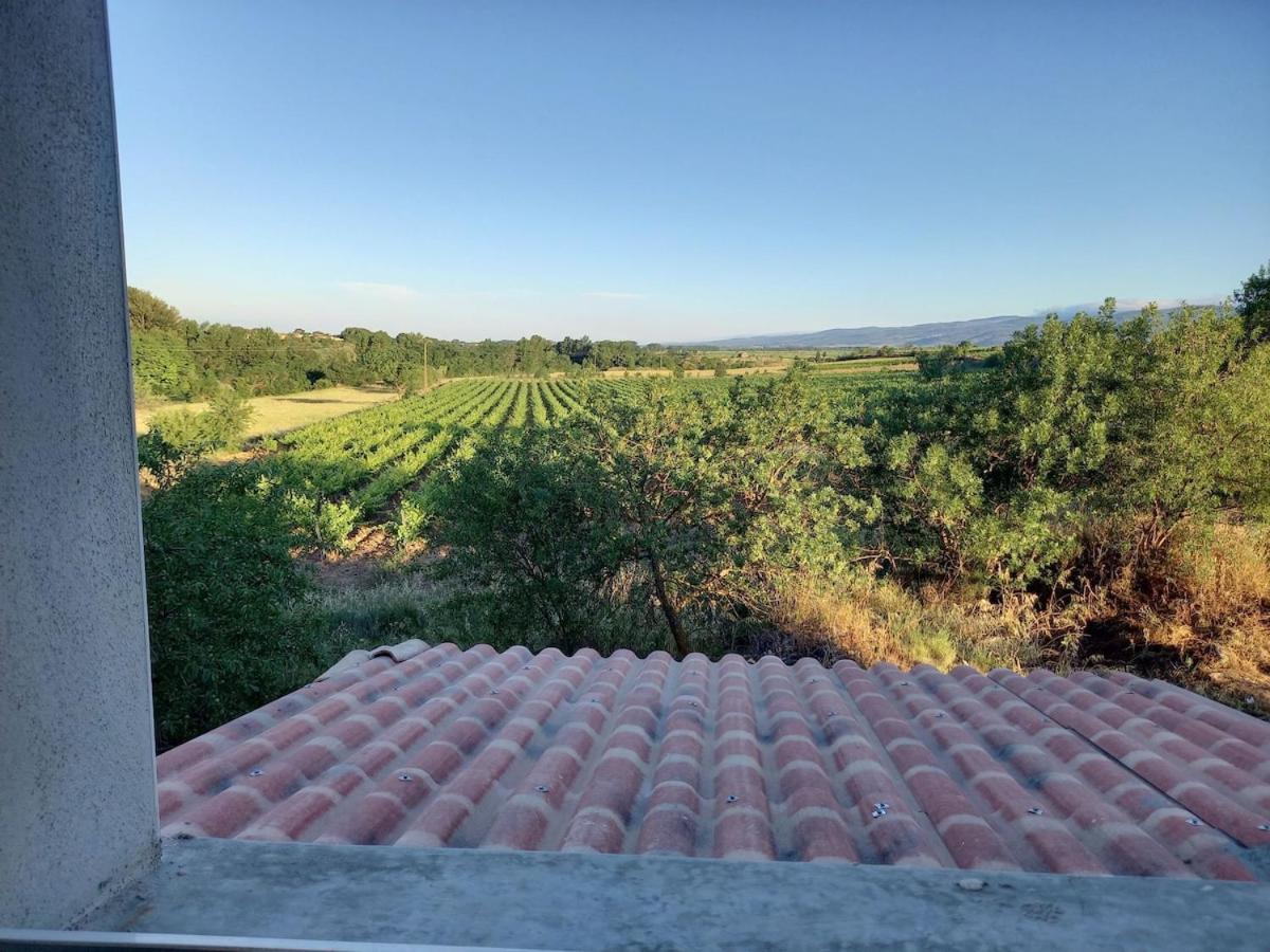 Willa Domaine Saint Augustin Rieux-Minervois Zewnętrze zdjęcie