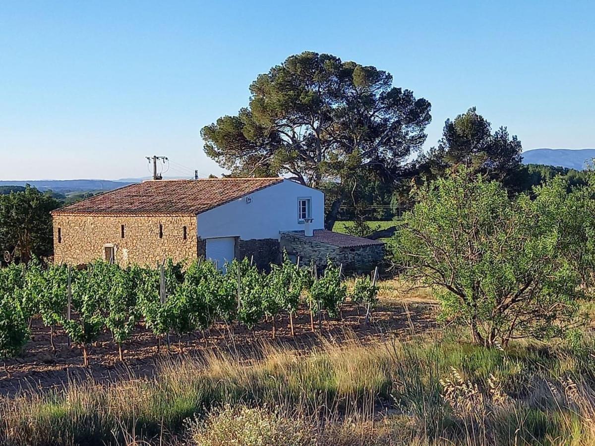 Willa Domaine Saint Augustin Rieux-Minervois Zewnętrze zdjęcie